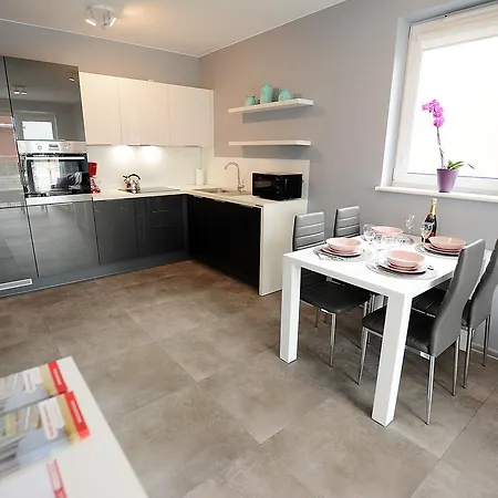 Apartament Kameralny Przy Rybackiej Apartment