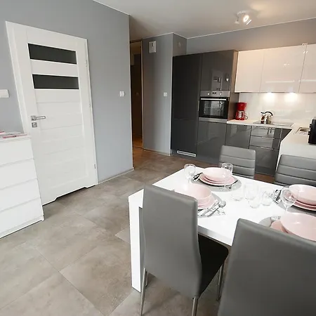 Apartament Kameralny Przy Rybackiej Apartment